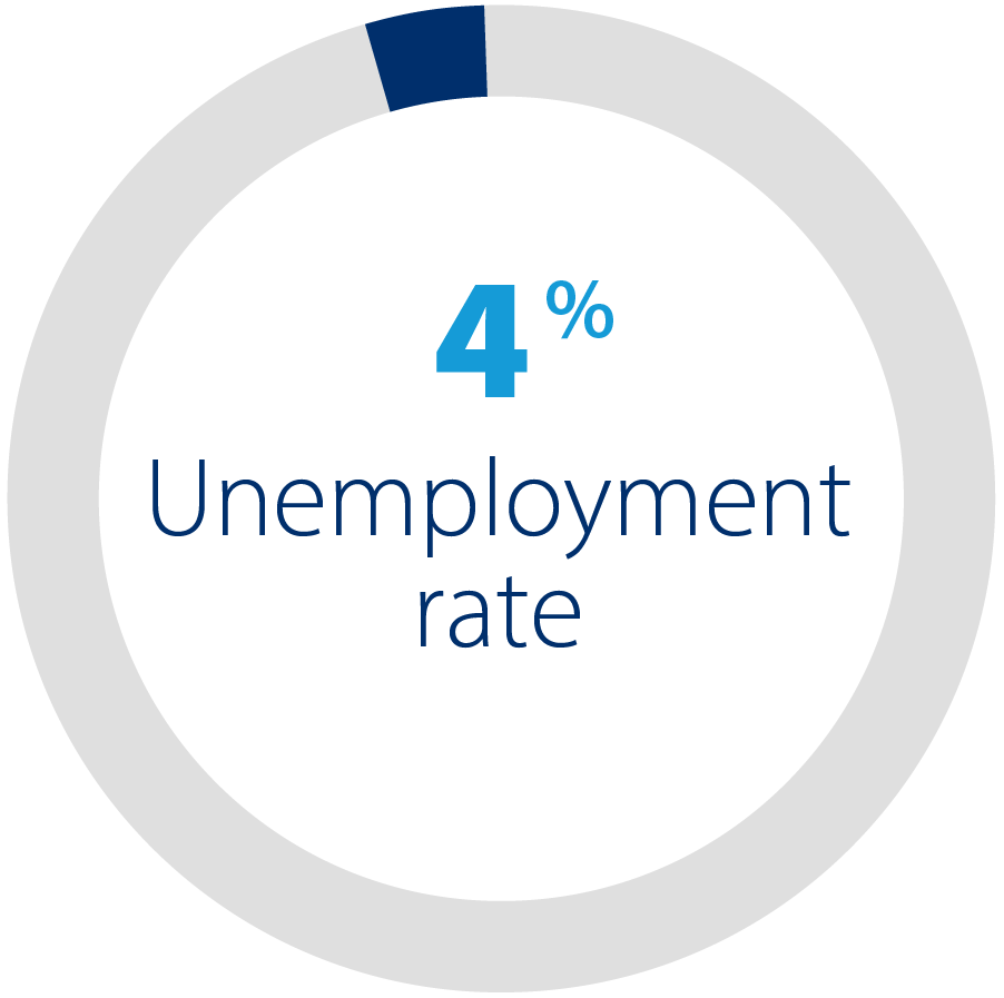 Pie chart showing 4% unemployment rate